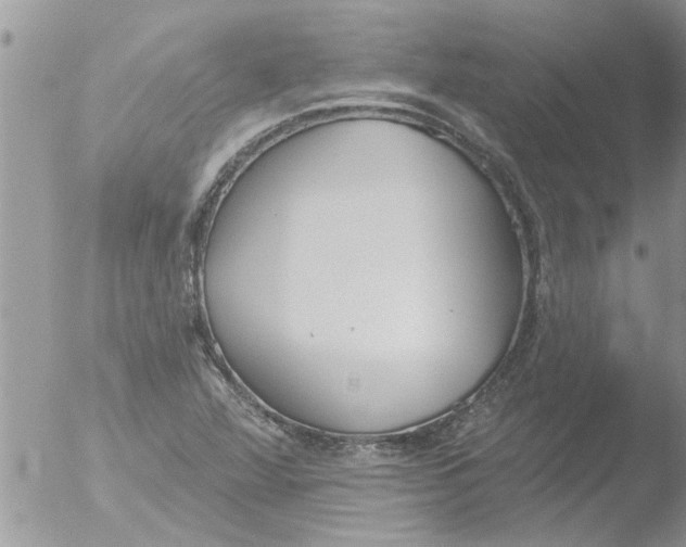 X0000051921360200507152046