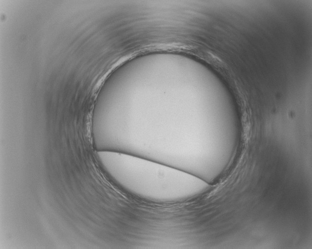 X0000051921361200507152046