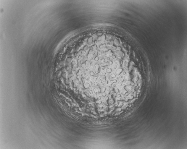 X0000051921362200507152046