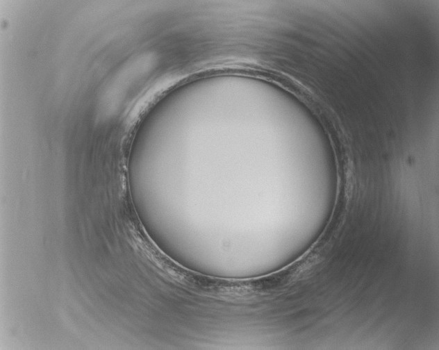 X0000051921363200507152046