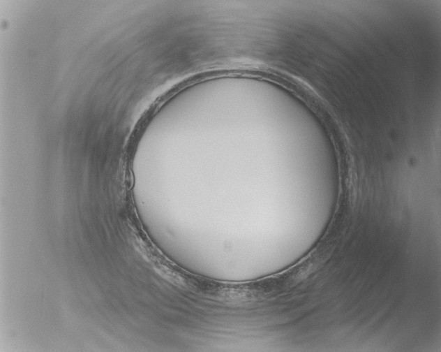 X0000051921364200507152046