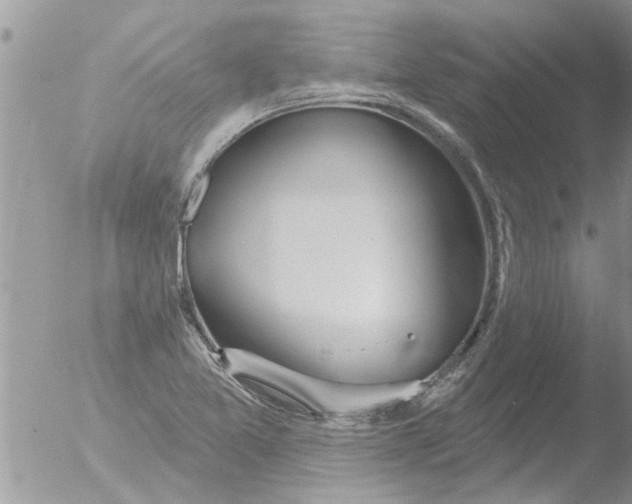 X0000051921365200507152046