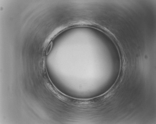 X0000051921367200507152046