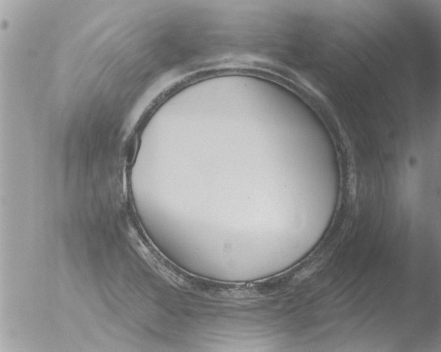 X0000051921368200507152046