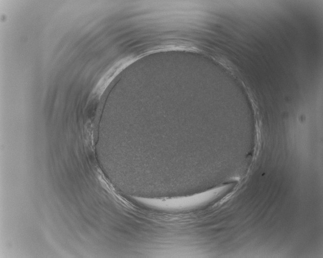 X0000051921369200507152046