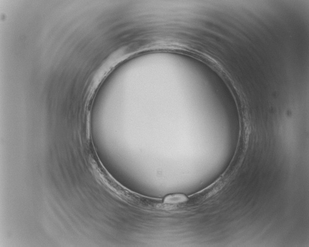 X0000051921371200507152046