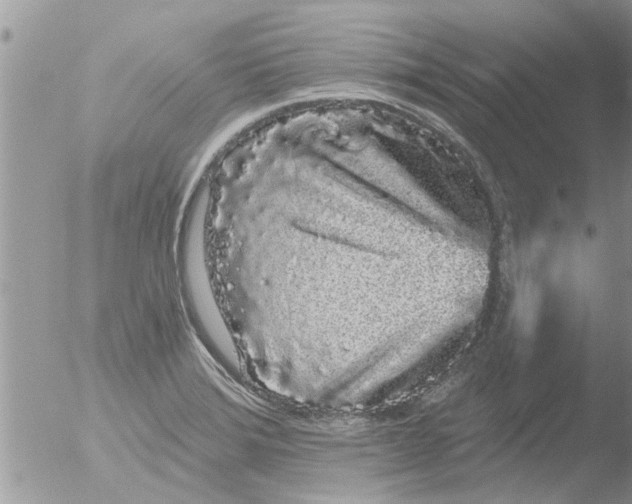 X0000051921372200507152046