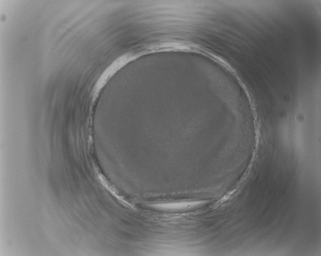 X0000051921373200507152046