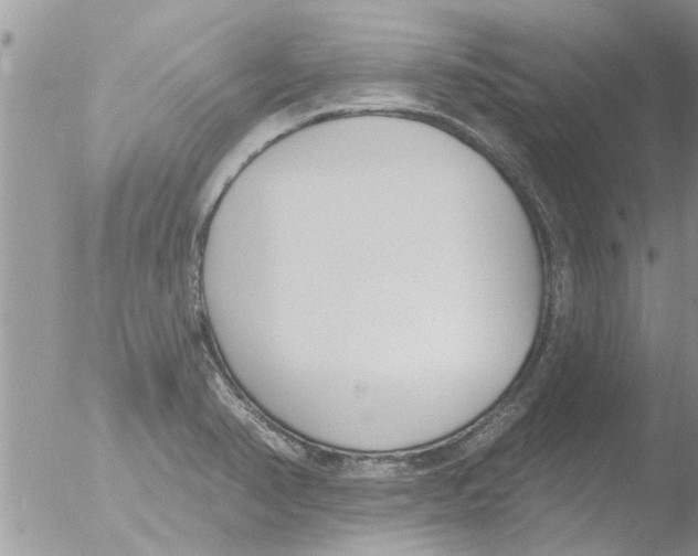 X0000051921374200507152046