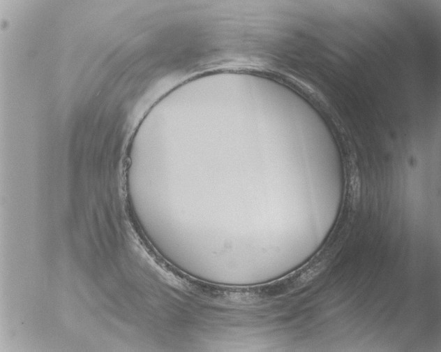 X0000051921375200507152046