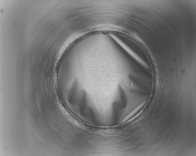 X0000051921376200507152046