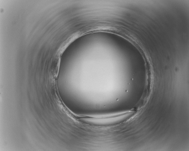 X0000051921377200507152046