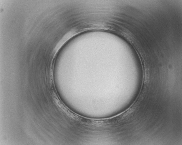 X0000051921378200507152046