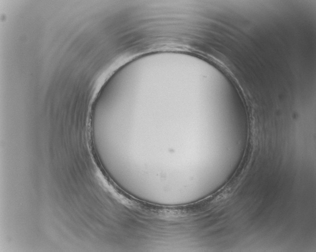 X0000051921379200507152046