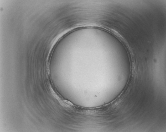 X0000051921380200507152046