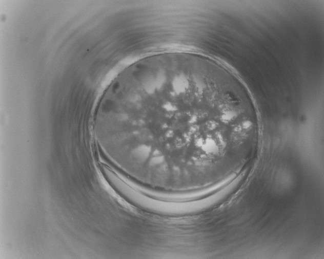 X0000051921381200507152046