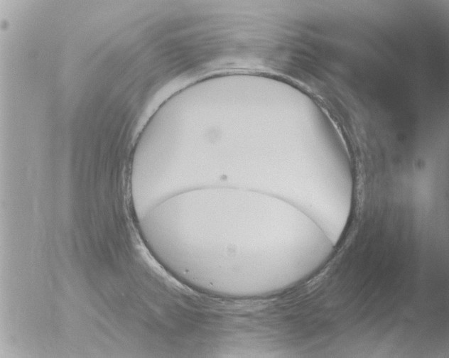 X0000051921382200507152046