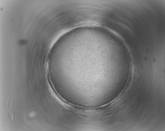 X0000051921383200507152046