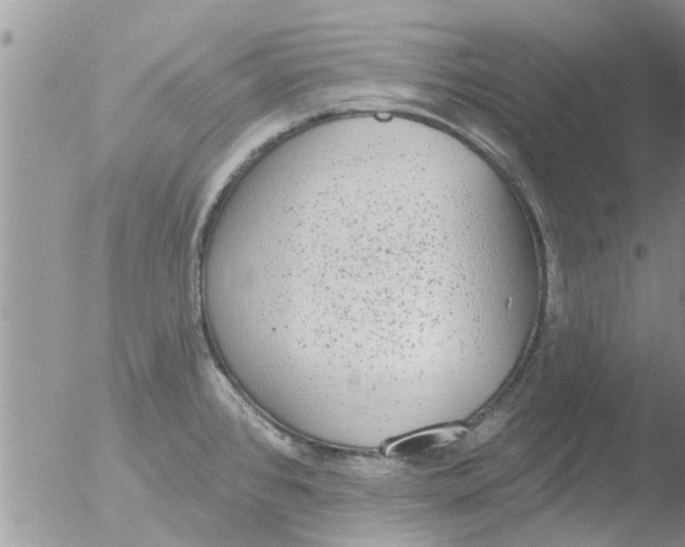 X0000051921384200507152045