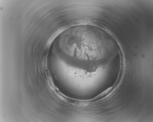 X0000051921385200507152045