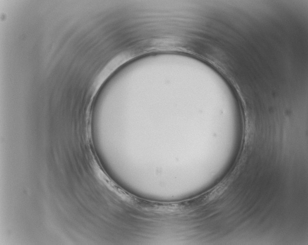 X0000051921386200507152045