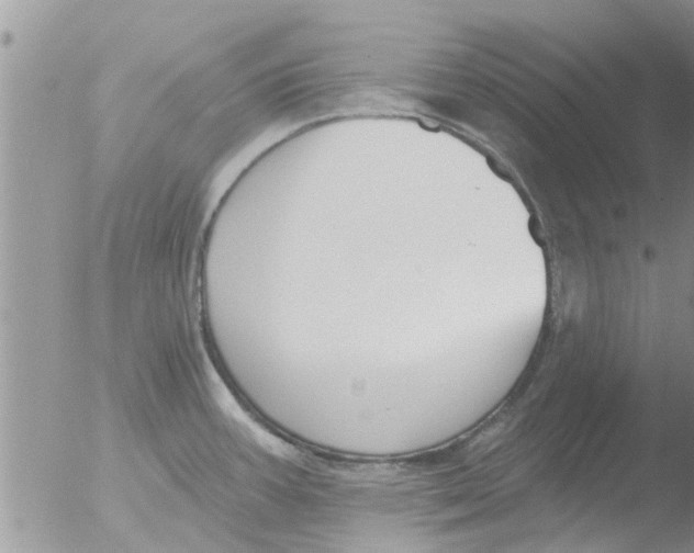 X0000051921387200507152045