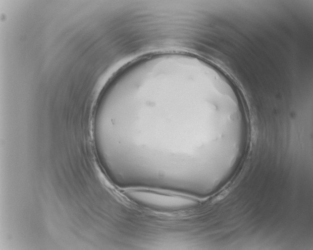 X0000051921388200507152045