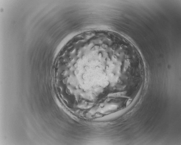 X0000051921389200507152045