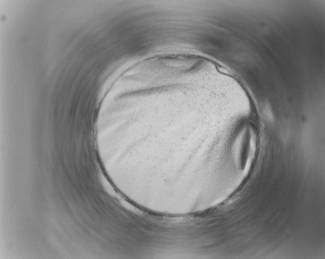 X0000051921390200507152045