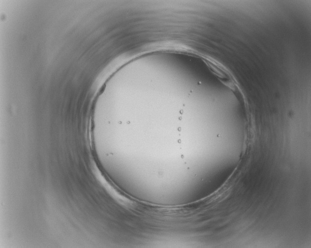 X0000051921391200507152045