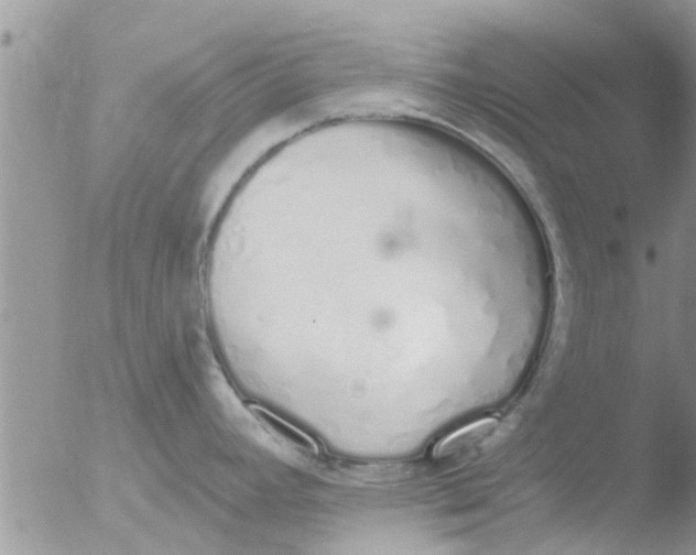 X0000051921392200507152045