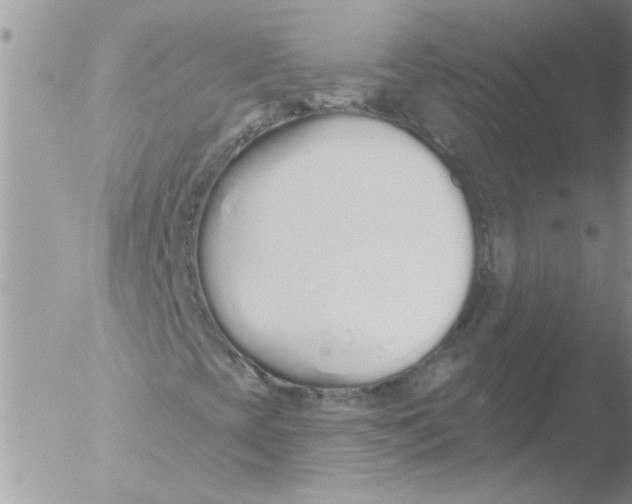 X0000051921393200507152045