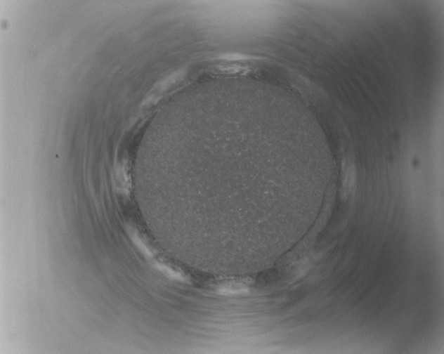 X0000051921394200507152045