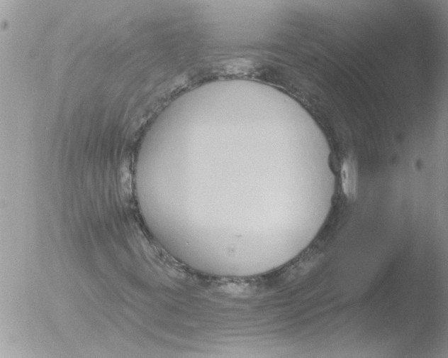 X0000051921395200507152045