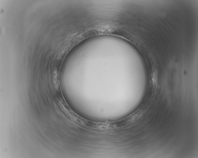 X0000051921396200507152045