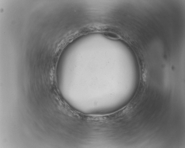 X0000051921397200507152045