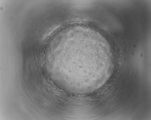 X0000051921399200507152045