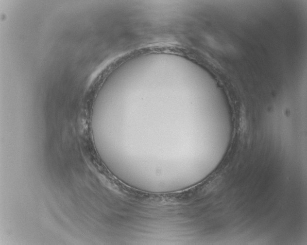 X0000051921400200507152045