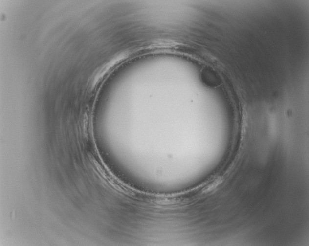 X0000051921401200507152045