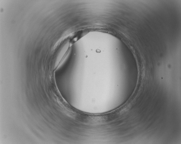 X0000051921402200507152045