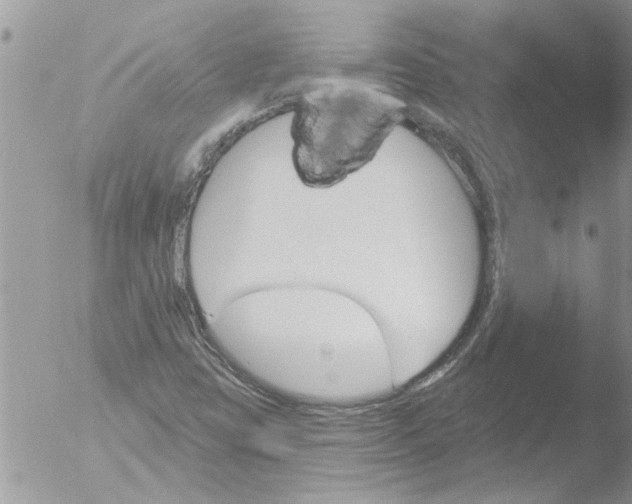 X0000051921403200507152045