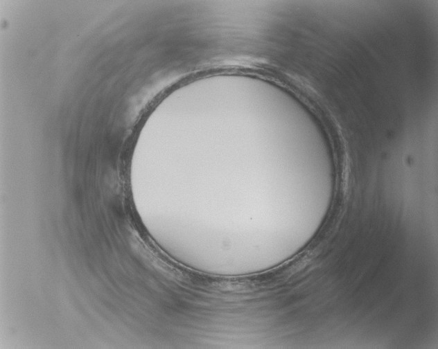 X0000051921404200507152045