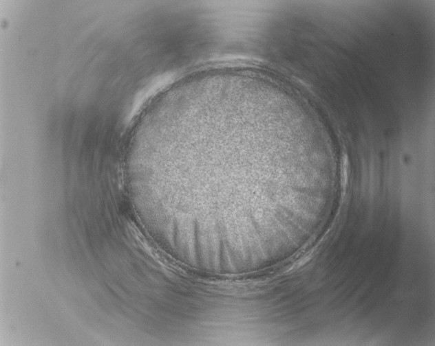 X0000051921405200507152045