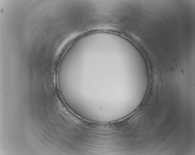 X0000051921408200507152045