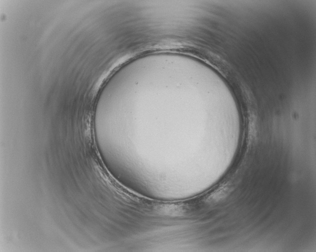 X0000051921409200507152045