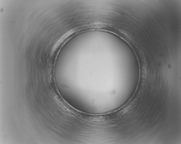 X0000051921410200507152045