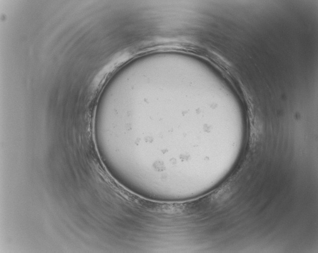 X0000051921411200507152045