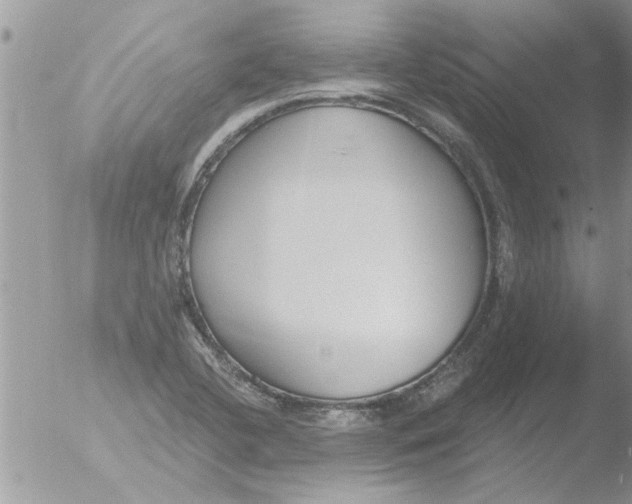 X0000051921412200507152045