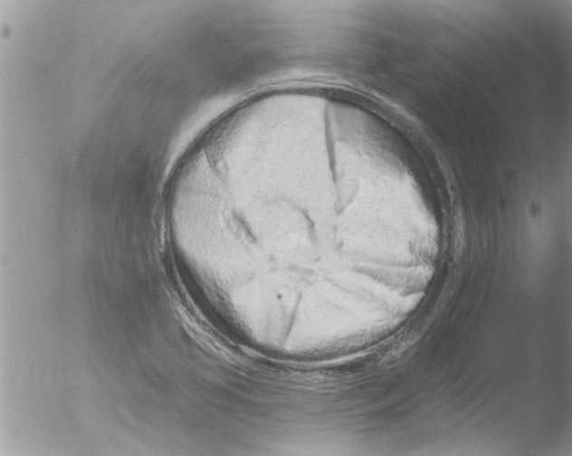 X0000051921413200507152045