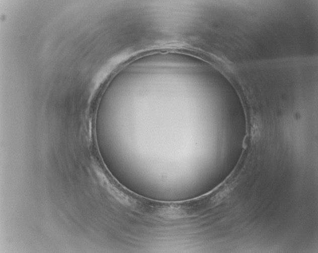 X0000051921414200507152045